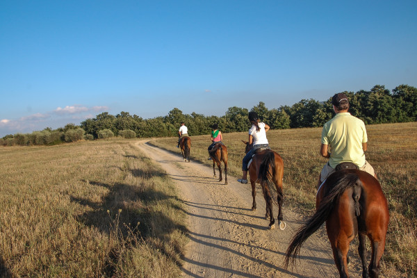 Passeggiata a cavallo nella Murgia Materana
