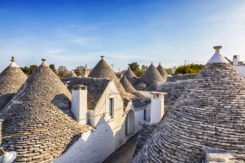 Photo showcasing the trulli of Alberobello on a guided tour
