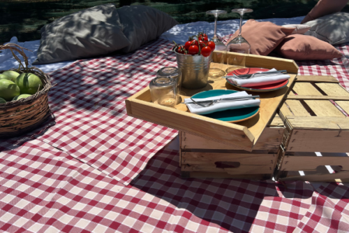 Picnic entre olivos con productos km 0 en Monopoli, Puglia