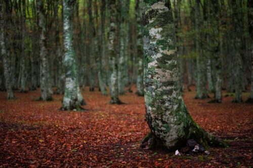 autunno in Basilicata