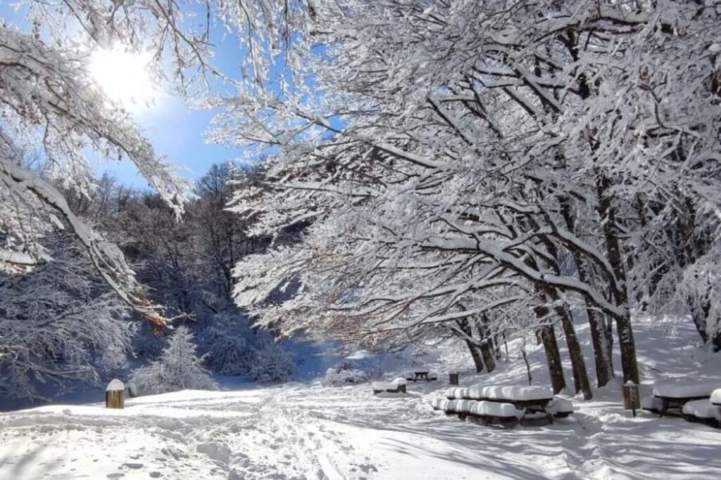 Capodanno in Basilicata