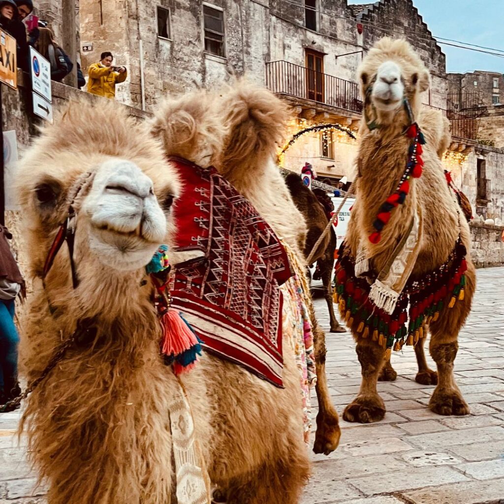 Presepe Vivente Matera