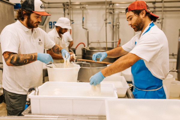 Tour gastronomico Altamura: esplora i sapori tipici di Altamura tra formaggi, focaccia e dolci tradizionali.