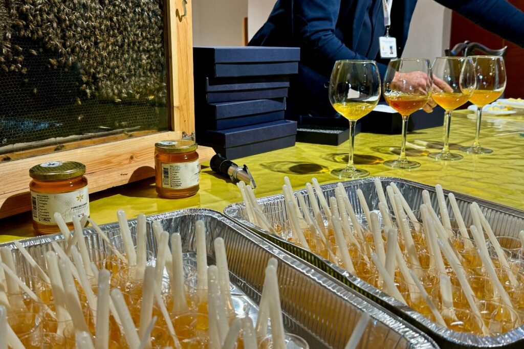 Antiche cantine scavate nella roccia a Salandra