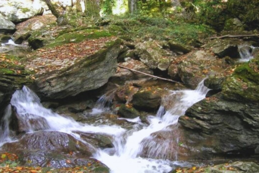 Vista panoramica del Parco Nazionale del Pollino con montagne e foreste secolari
