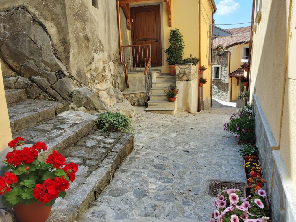 Escursione guidata tra i sentieri del Parco del Pollino
