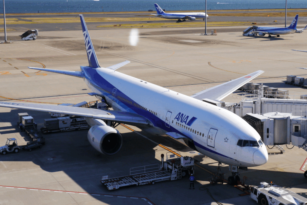 accoglienza aeroportuale si adatta sia a singoli viaggiatori che a gruppi