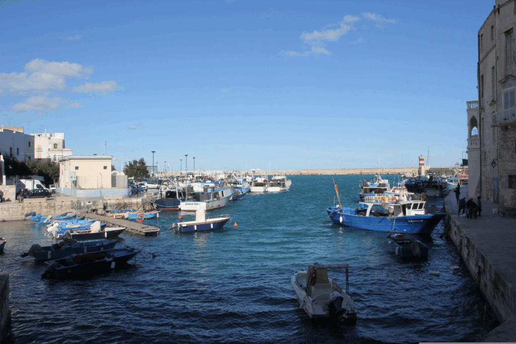 Il porto di Monopoli con barche ormeggiate e architettura storica

