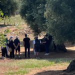 Grupo de personas disfrutando de un curso de cata cerca Ostuni, participando en una cata de aceite de oliva