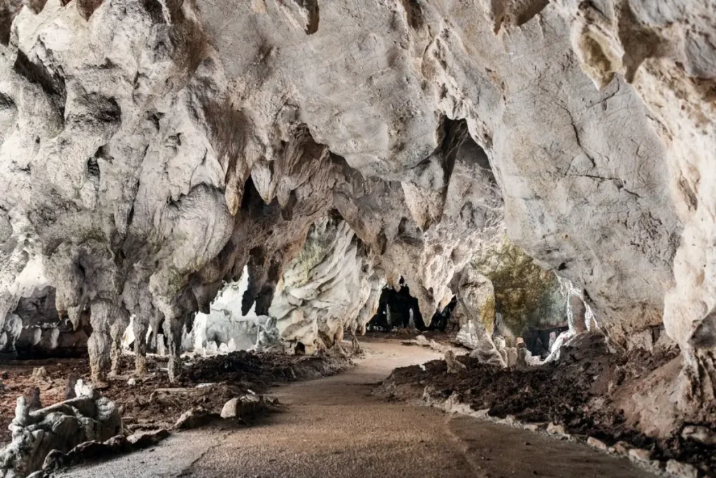 Stalattiti e formazioni carsiche nelle Grotte di Pertosa
