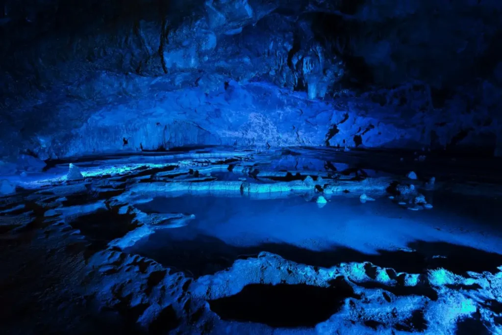 Grotte di Pertosa illuminate durante la visita scolastica