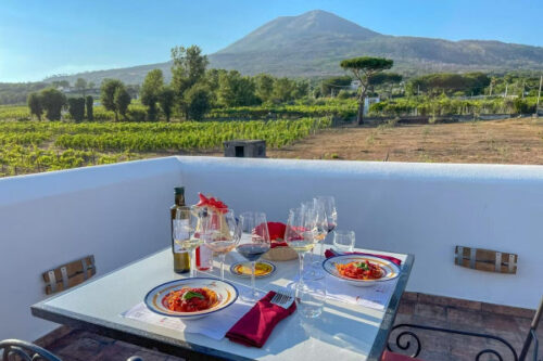 Wine tour Lacryma Christi con vista sul Vesuvio durante transfer da Napoli o aeroporto Capodichino a Bari con sosta a Pompei