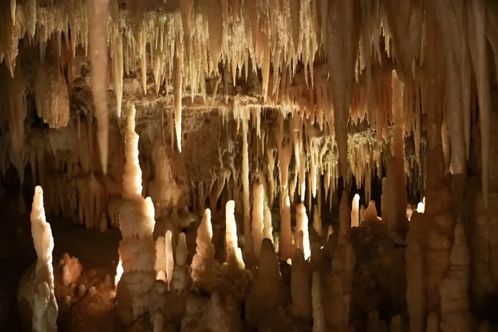 Percorso guidato nelle Grotte di Castellana per studenti